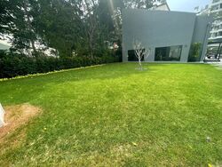 Honolulu Tower (D10), Apartment #437760231